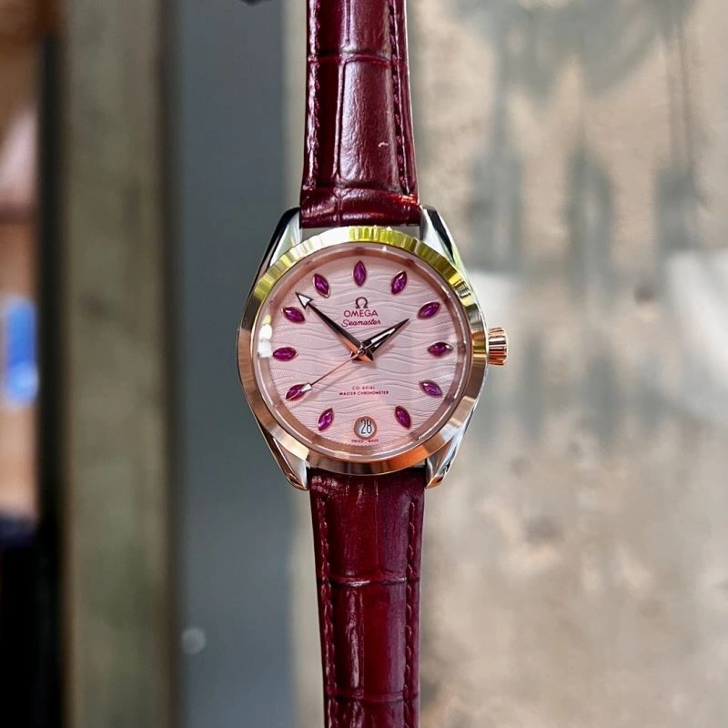 WeatherProof OMEGA Watches 192415