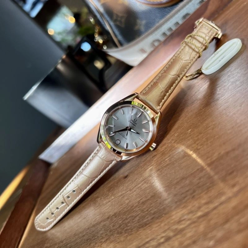 AllSeason OMEGA Watches 192419