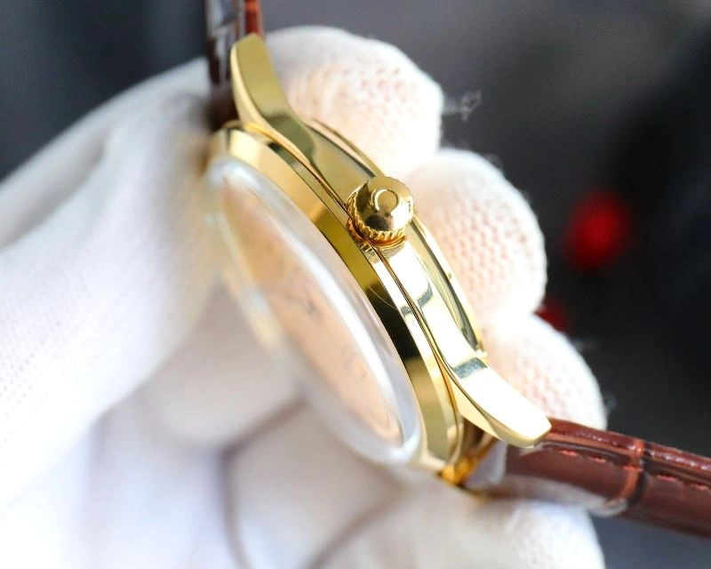 OMEGA Watches Bright 192333