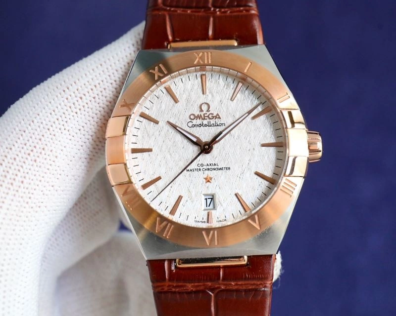 StreetReady OMEGA Watches 192300