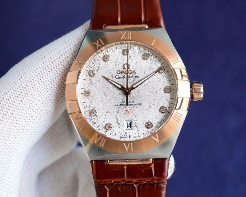 StreetReady OMEGA Watches 192300