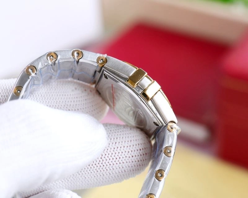 Seasonal OMEGA Watches 192175