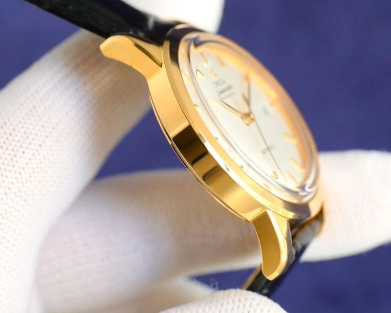 OMEGA Watches Colorful 192160