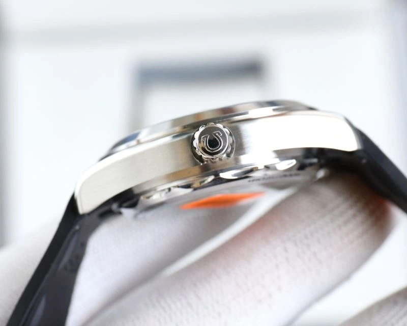 OMEGA Watches Versatile 192143