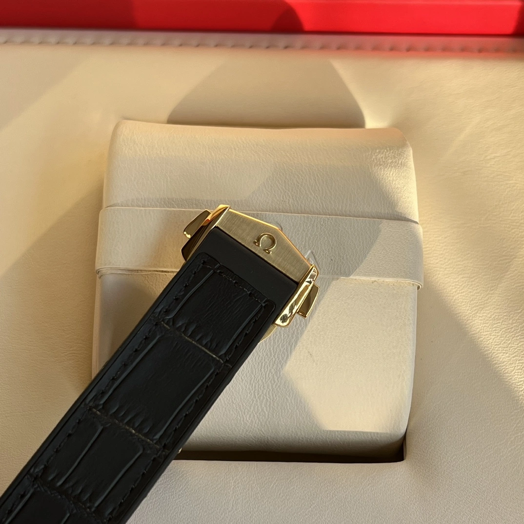 OMEGA Watches Supportive 192107