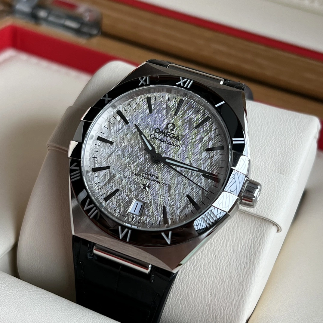 OMEGA Watches GoAnywhere 192117