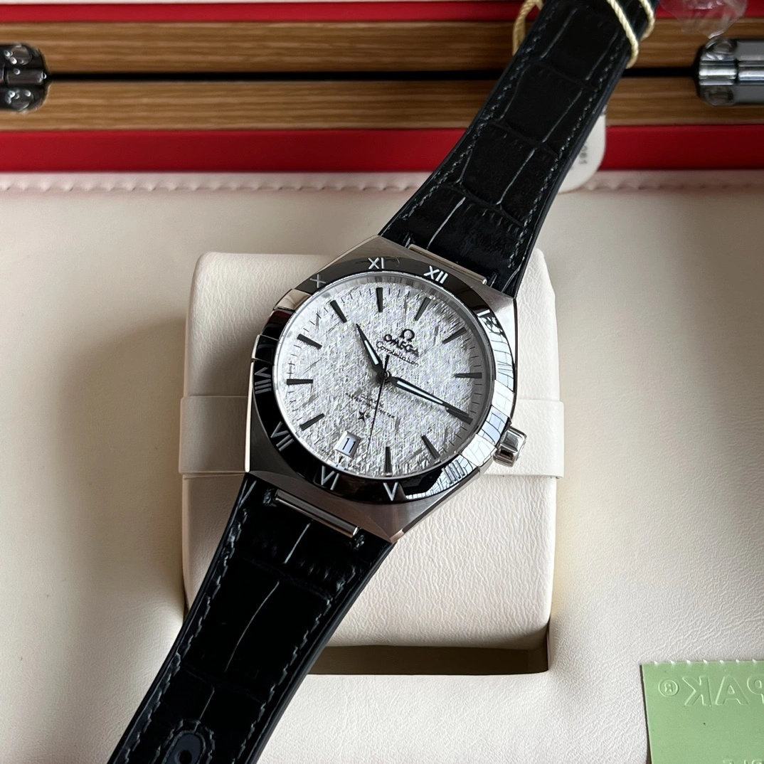 OMEGA Watches GoAnywhere 192117