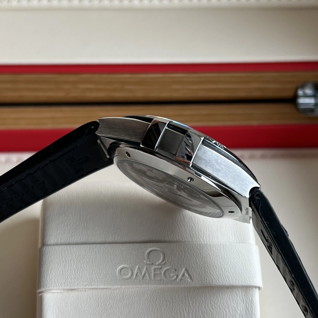 OMEGA Watches GoAnywhere 192117