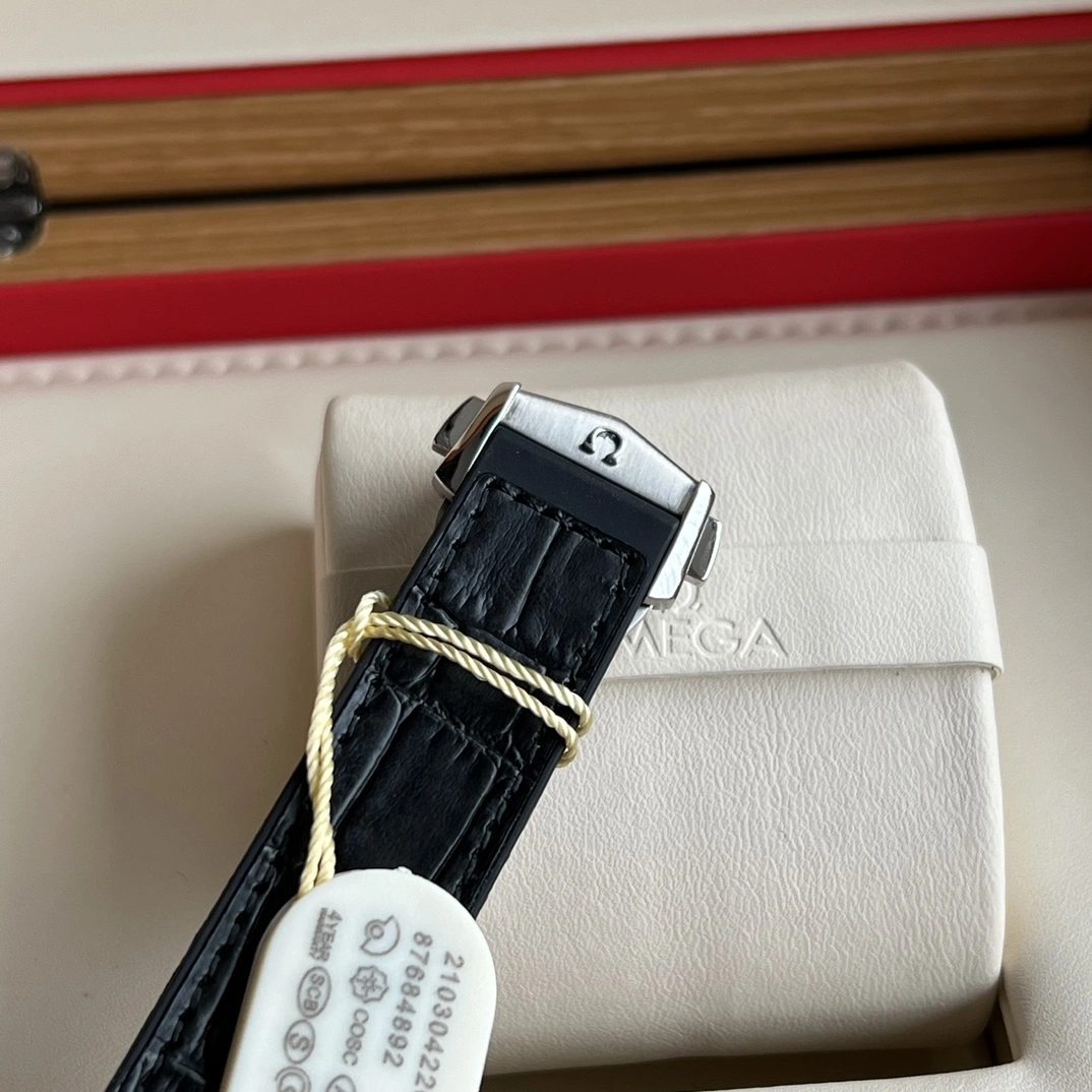 OMEGA Watches GoAnywhere 192117
