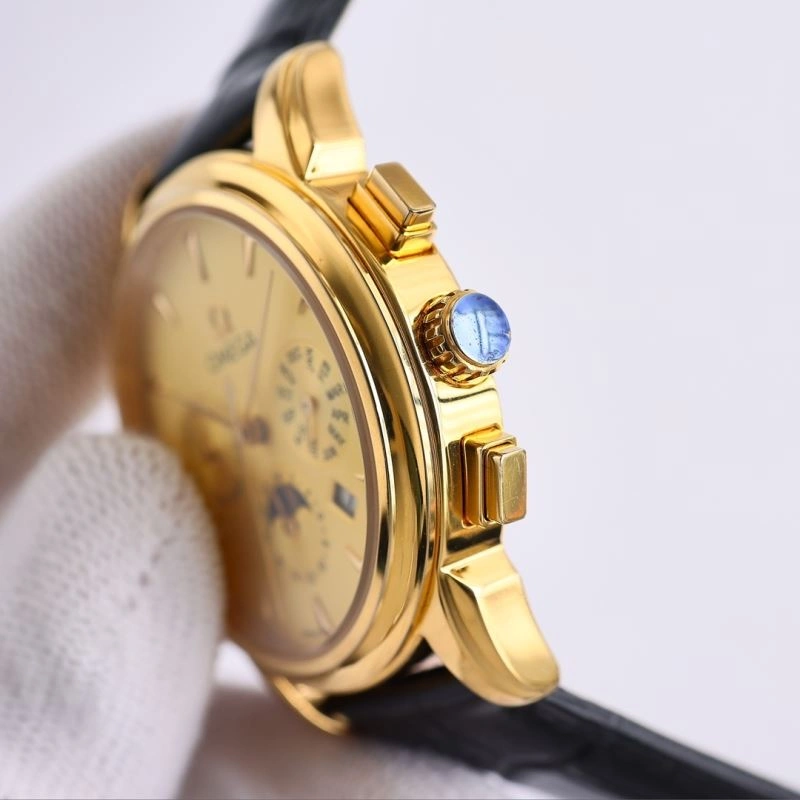 GoAnywhere OMEGA Watches 192069