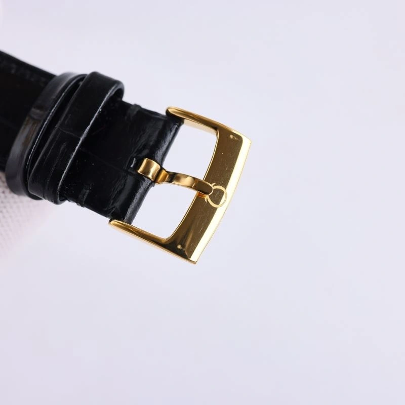 GoAnywhere OMEGA Watches 192069