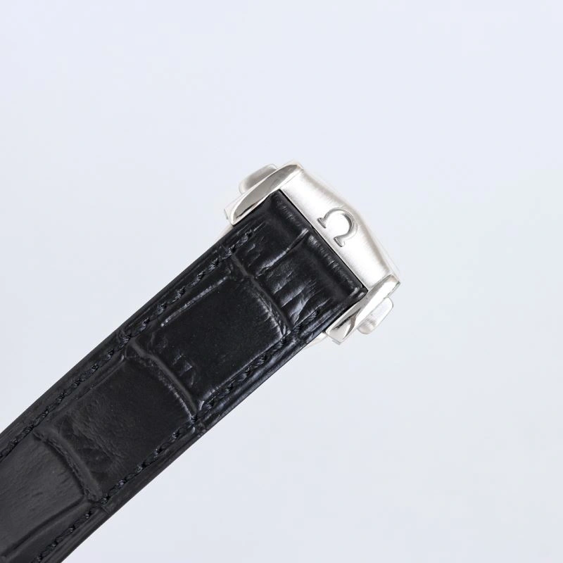 OMEGA Watches DailyWear 192016