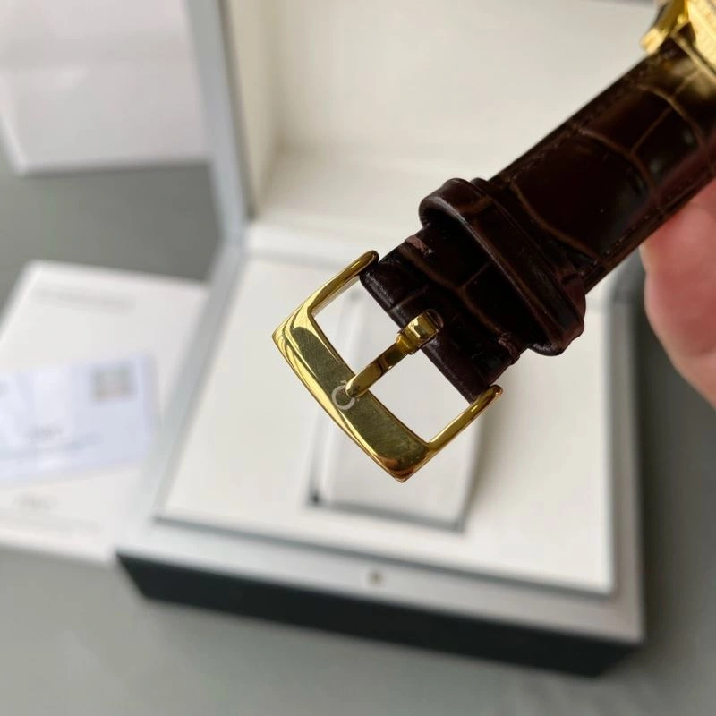 Versatile OMEGA Watches 191981