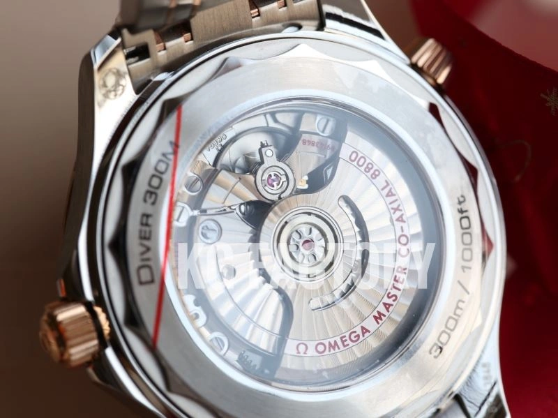 OMEGA Watches Timeless 191886