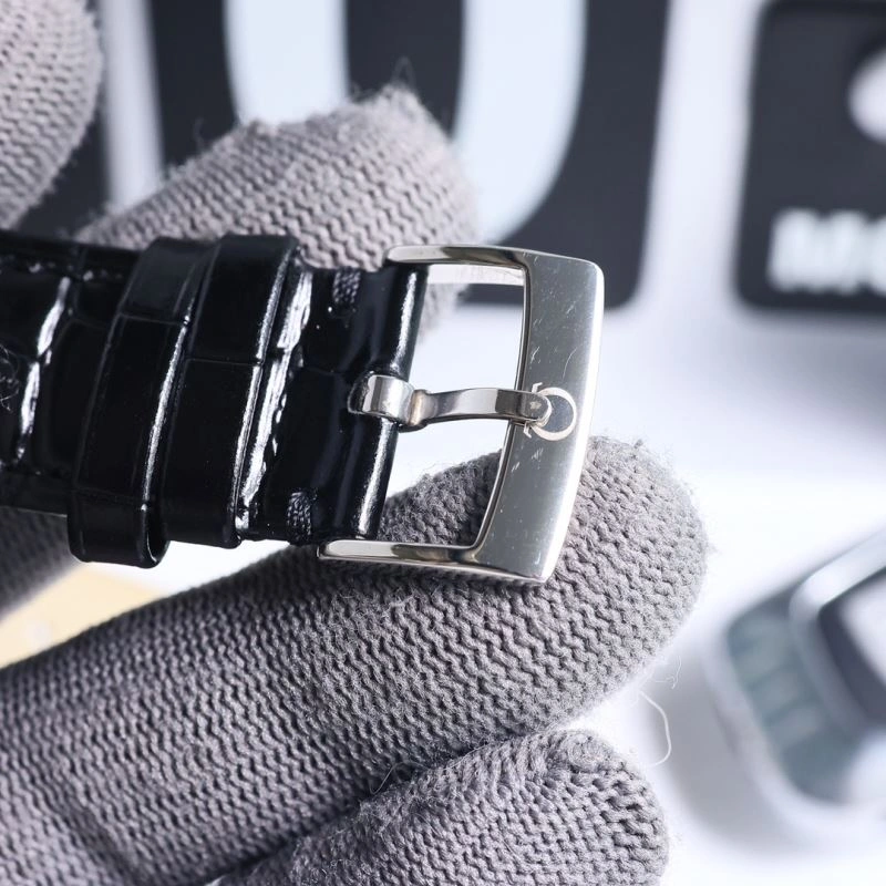 OMEGA Watches EyeCatching 191333