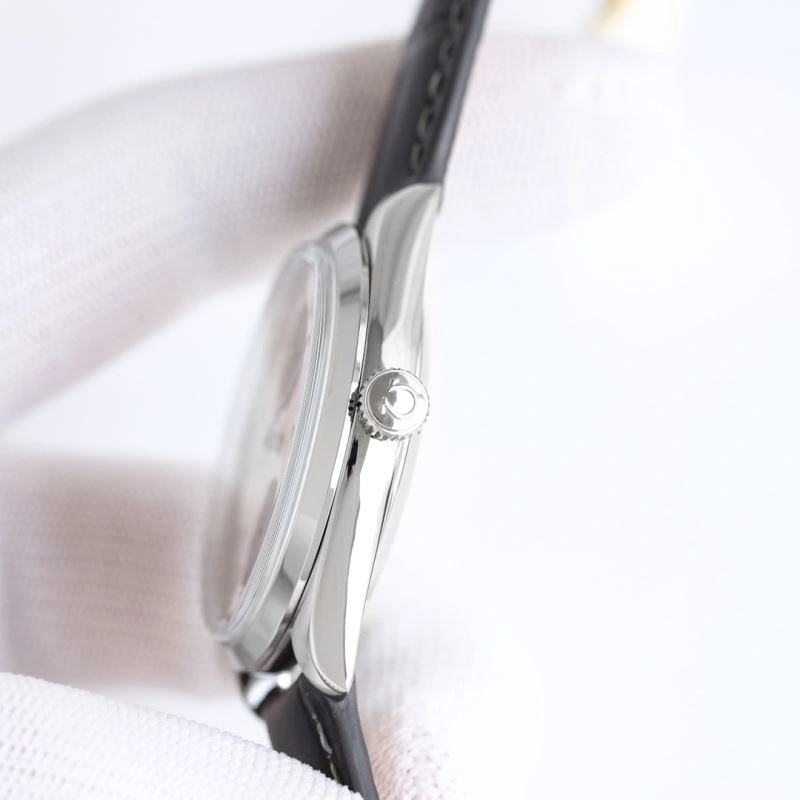 OMEGA Watches Effortless 191156