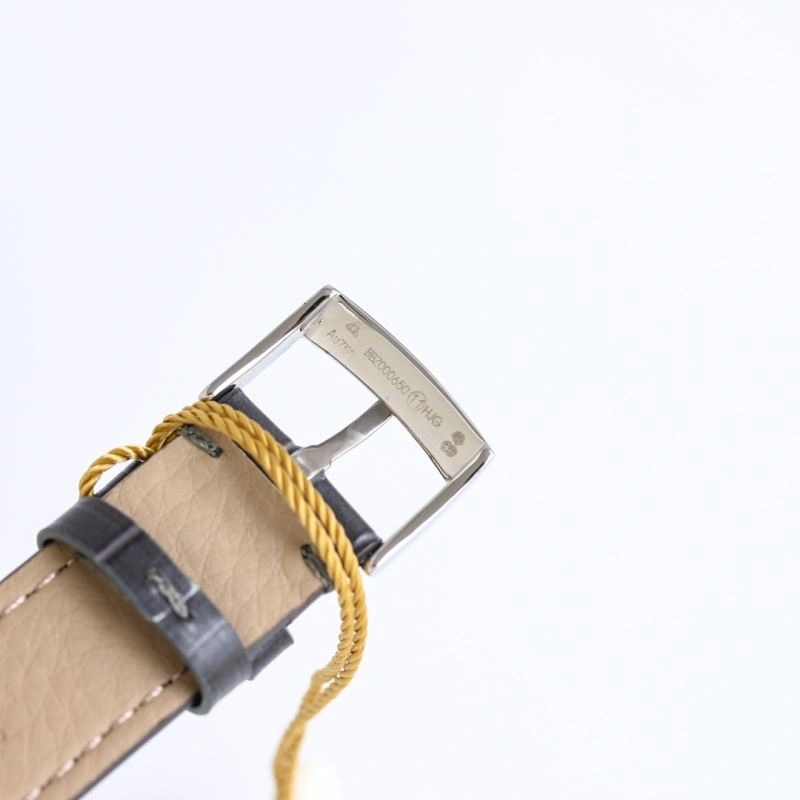 TopPick OMEGA Watches 191155
