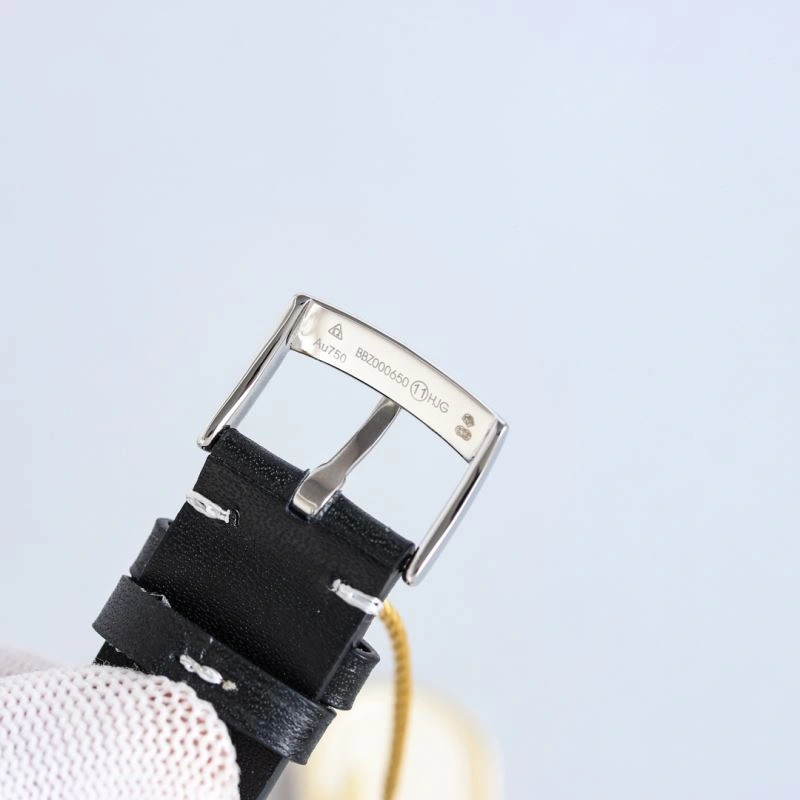 OMEGA Watches EyeCatching 191151
