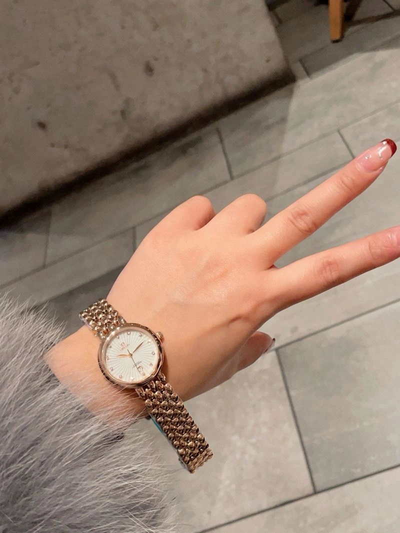 OMEGA Watches GoAnywhere 191108