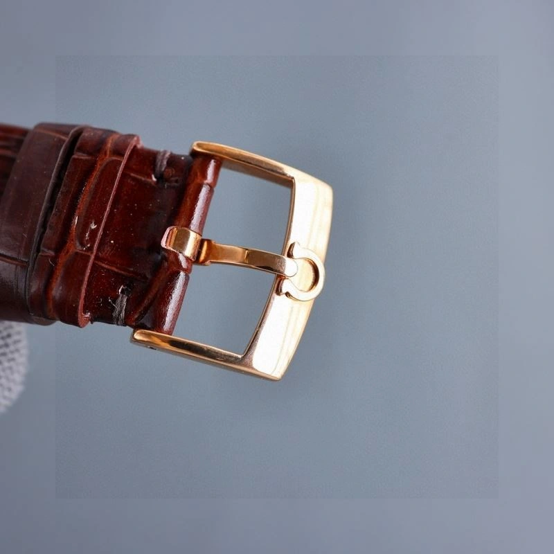 TravelReady OMEGA Watches 191066