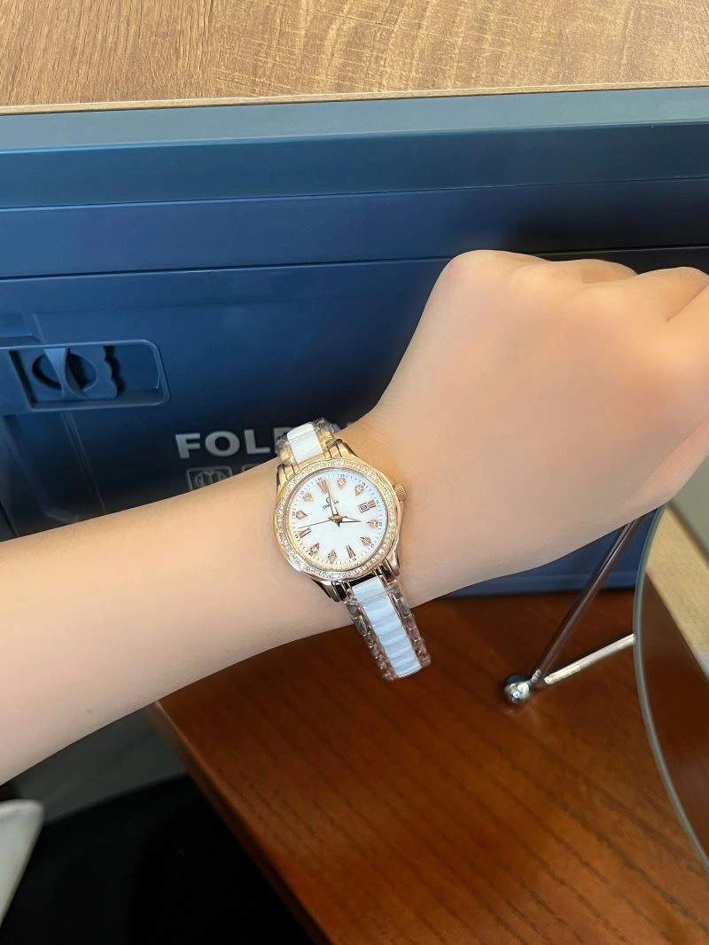 OMEGA Watches Effortless 191048