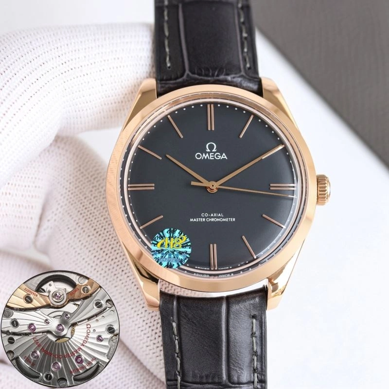 OMEGA Watches GoAnywhere 190936