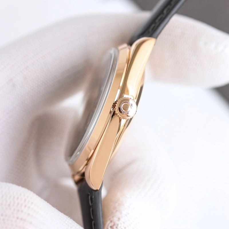 OMEGA Watches GoAnywhere 190936