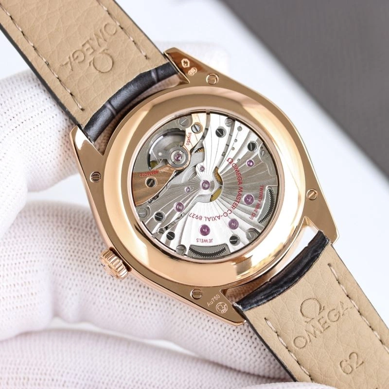 OMEGA Watches GoAnywhere 190936