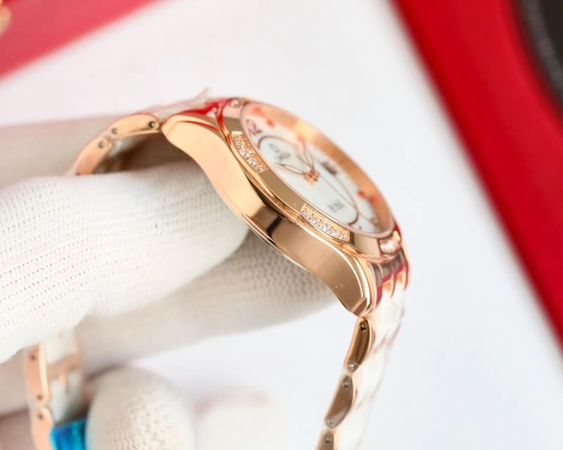 OMEGA Watches Versatile 190889