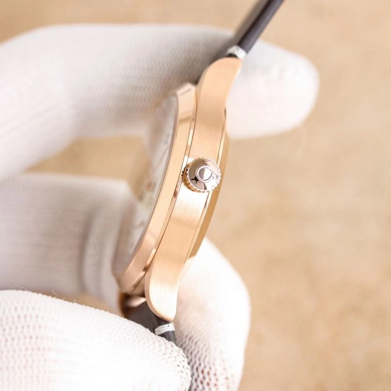 OMEGA Watches Practical 190876