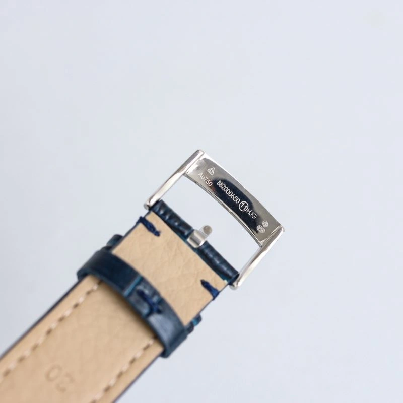 EyeCatching OMEGA Watches 190891