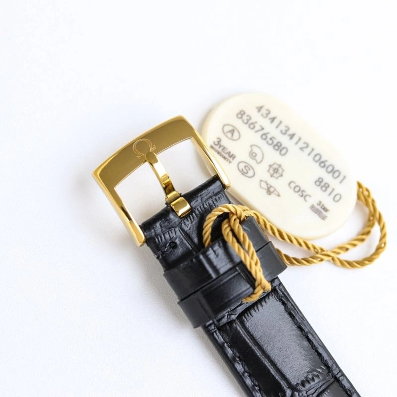 Sleek OMEGA Watches 190702