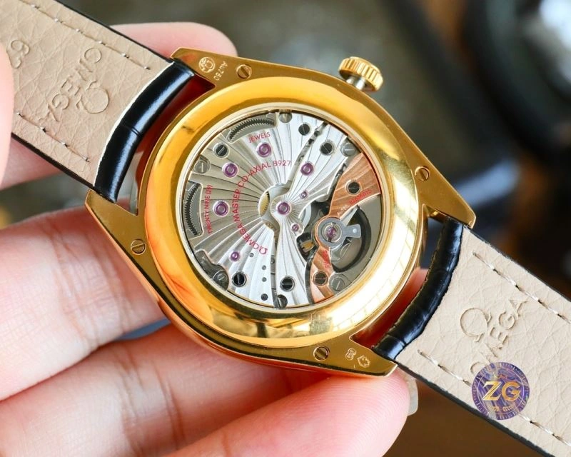 OMEGA Watches DailyWear 190593