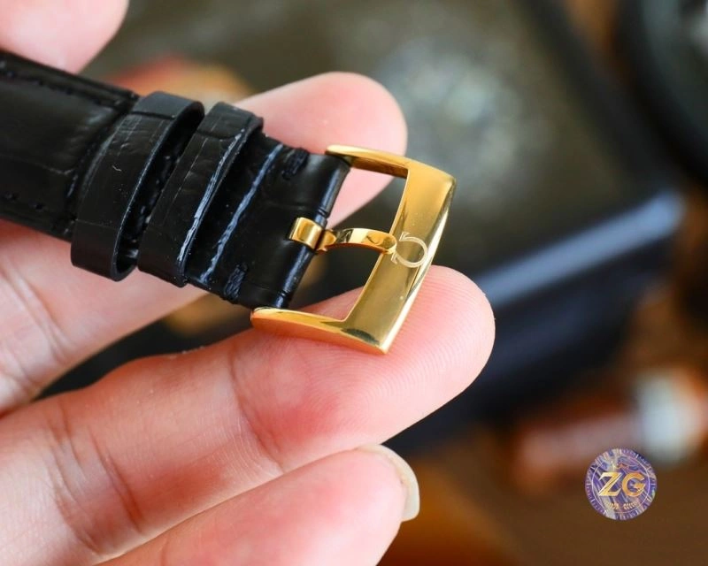 OMEGA Watches DailyWear 190593