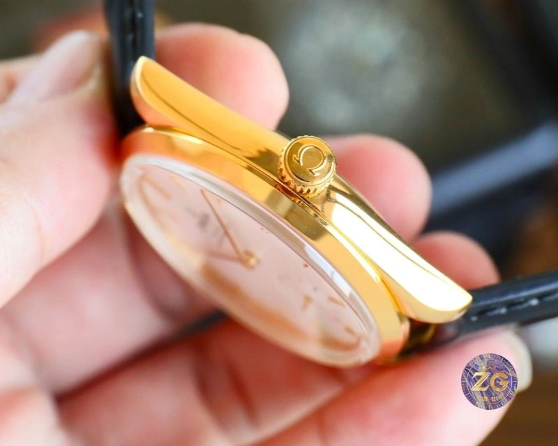 OMEGA Watches DailyWear 190593