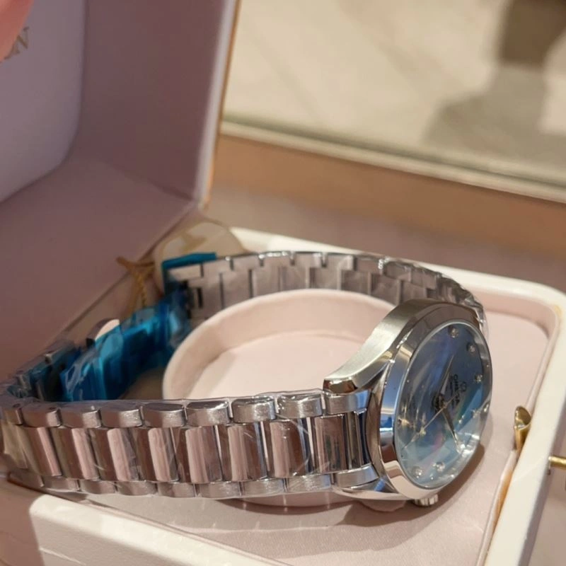 StreetReady OMEGA Watches 190457