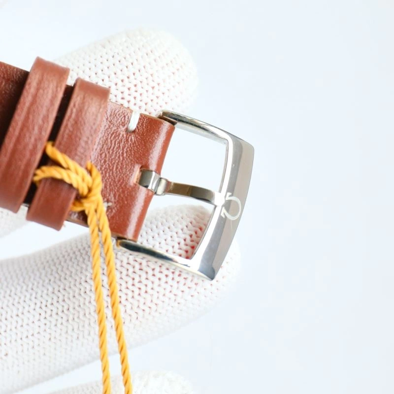OMEGA Watches GoAnywhere 190452