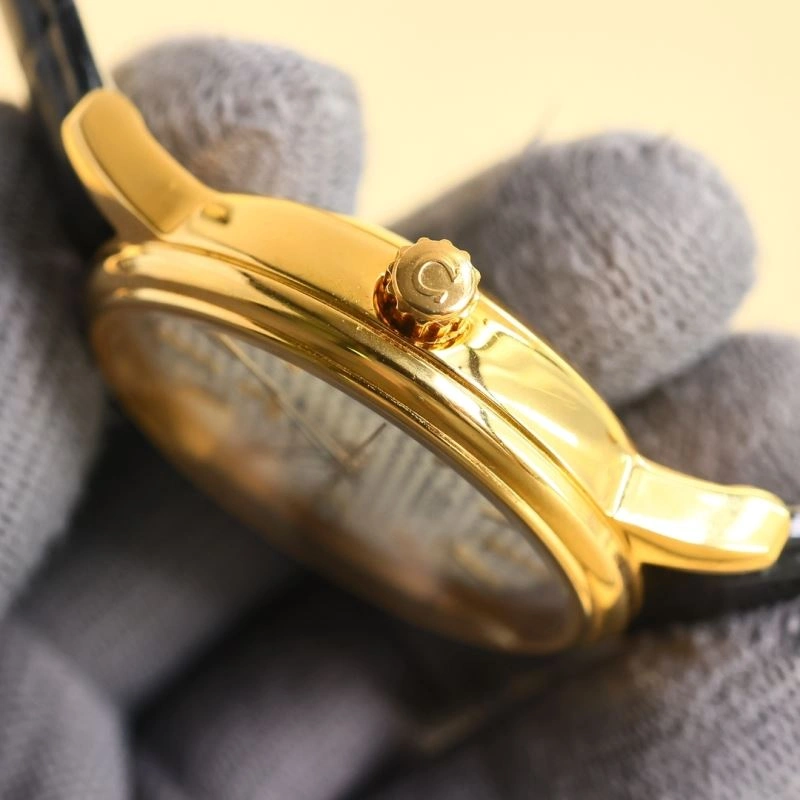 WeatherProof OMEGA Watches 190351