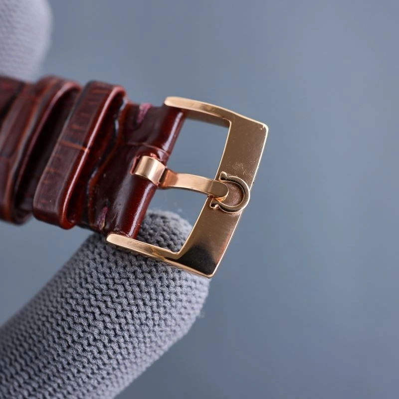 OMEGA Watches GoAnywhere 190330
