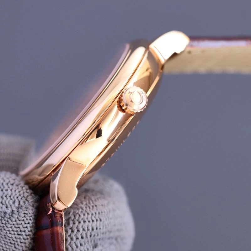 WellDesigned OMEGA Watches 190329