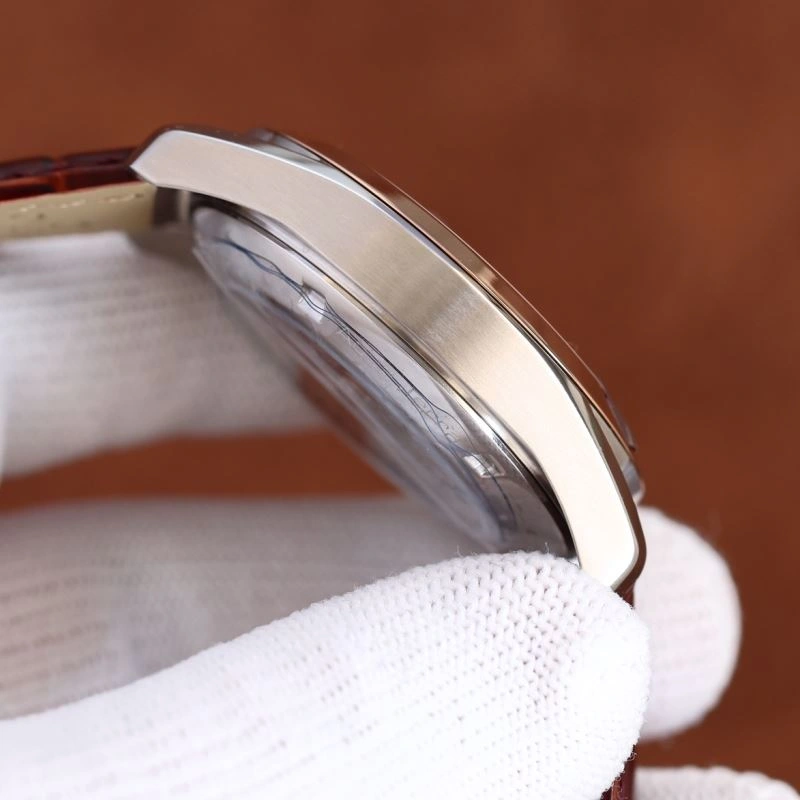 Supportive OMEGA Watches 191858