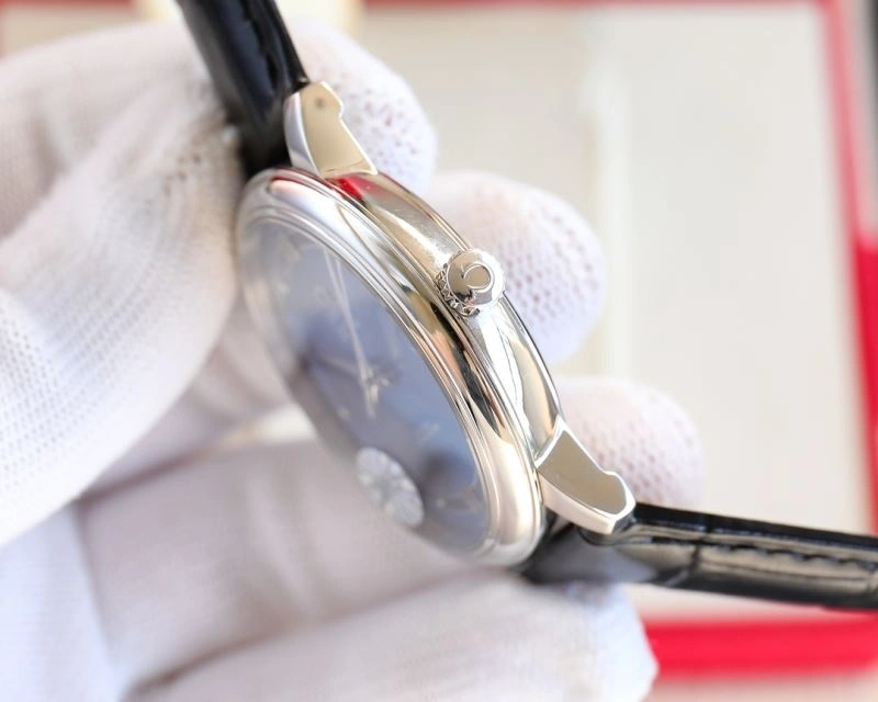 OMEGA Watches EasyCare 191869