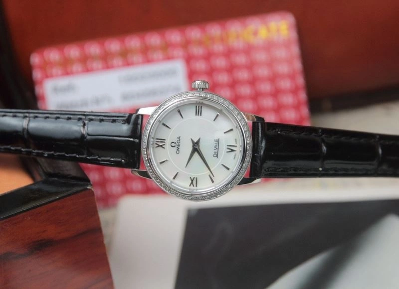 OMEGA Watches GoAnywhere 191774