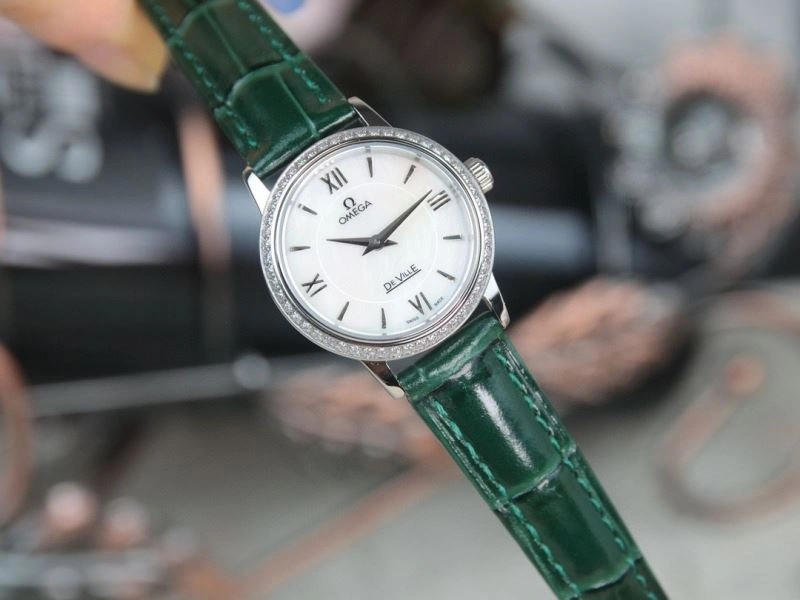 OMEGA Watches GoAnywhere 191774