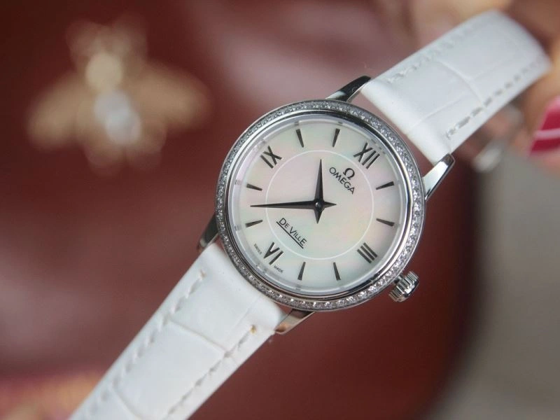 OMEGA Watches GoAnywhere 191774
