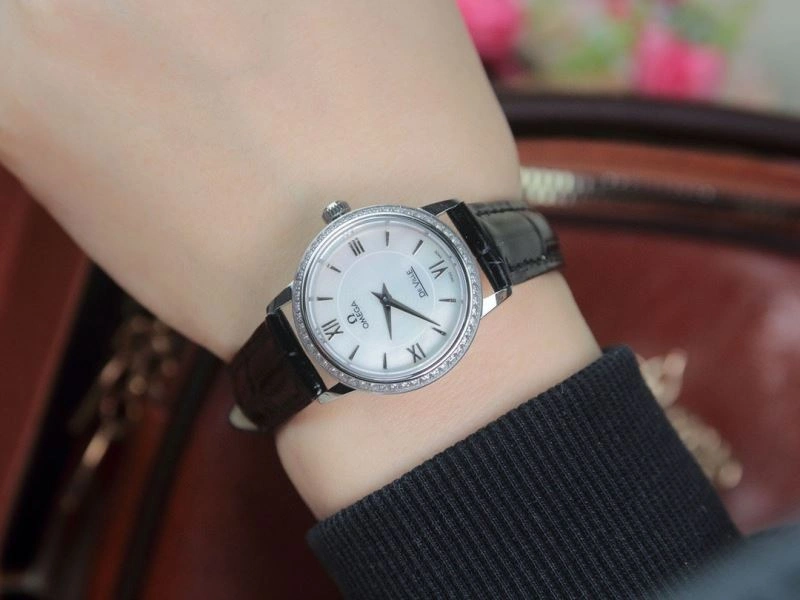 OMEGA Watches GoAnywhere 191774