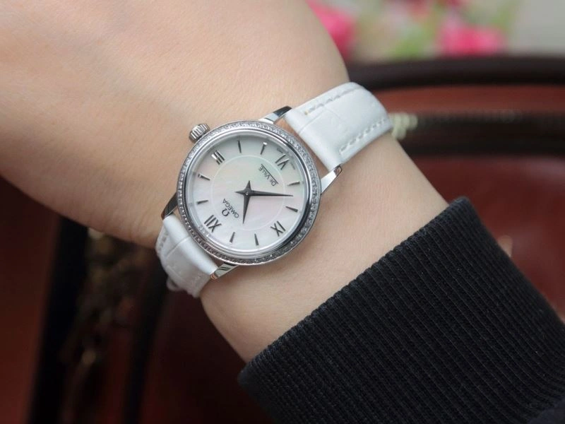 OMEGA Watches GoAnywhere 191774
