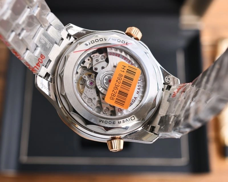 OMEGA Watches Effortless 191758