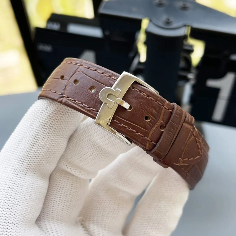 EyeCatching OMEGA Watches 191736