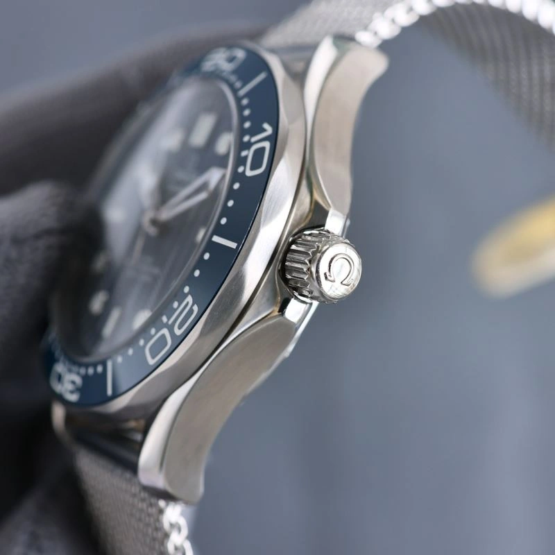 Seasonal OMEGA Watches 191740